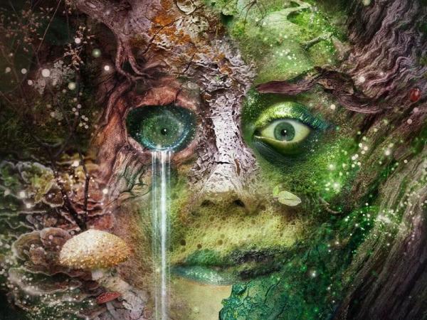 Bog witch with moss and mushrooms growing from the face