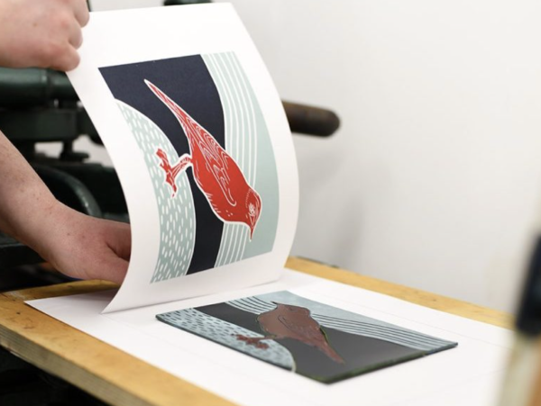 A print of bird in red with a blue background being revealed from the lino.