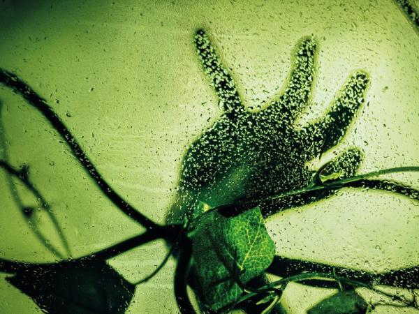 Eery image of a hand reaching out surrounded by vine leaves 