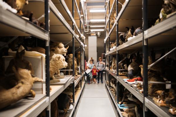 A family group looking down a storage aisle filled with taxidermy animals