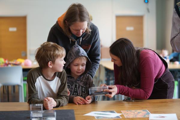 Two children look at a framed & taxidermied butterfly, while supervised by two adults