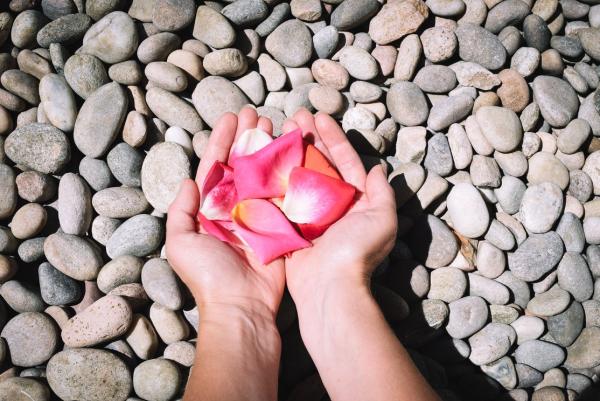Workshop advertisement for the Spring Equinox Career Reset, combining themes of renewal and growth, with a close-up of a pink rose cupped in hands over natural stones and event details displayed.Event details: Sunday 22 March, 10:45–12:15, at The Otley Studio.