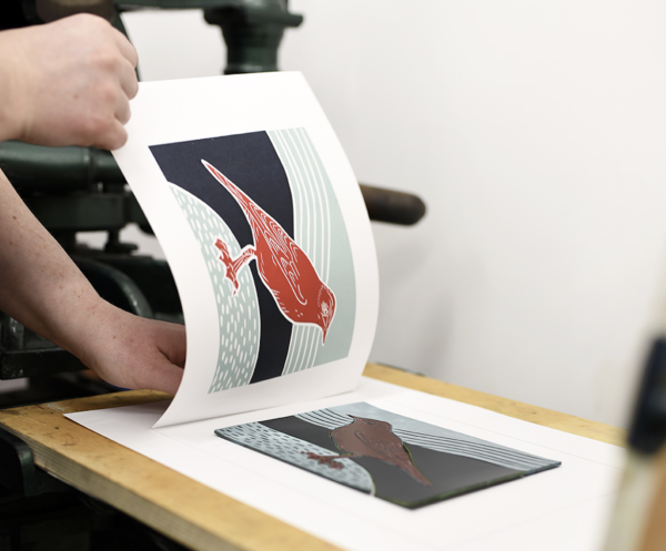 A lino printed image of a red bird with a blue background being revealed from the lino plate