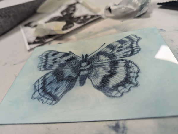 A drypoint plate with an image of a butterfly