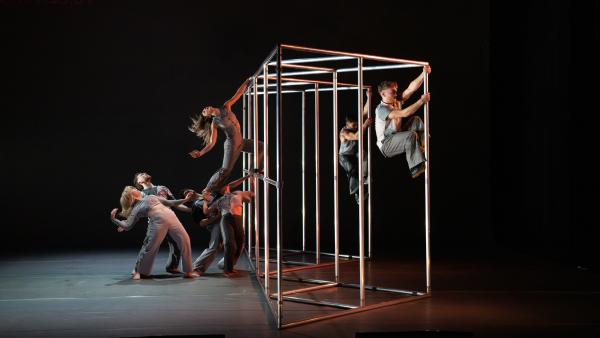 A group of seven dancers performing with one thrown high above them.
