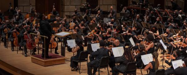 Orchestra