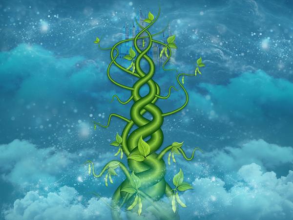The Beanstalk