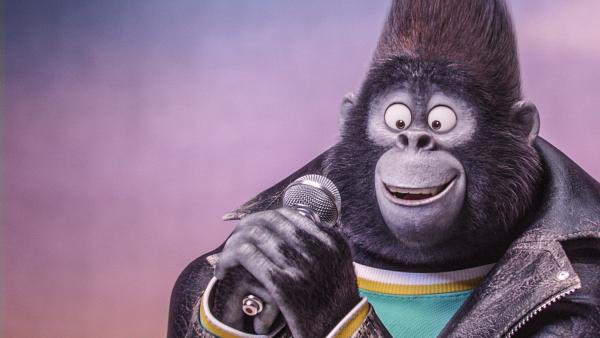 Gorilla holding microphone