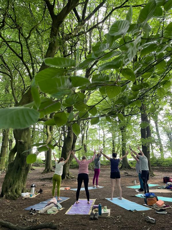 A group of people practice yoga in a woodland