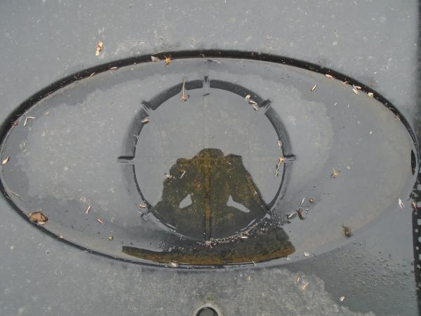 An photograph of the reflection of the photographer in a wet bin lid 