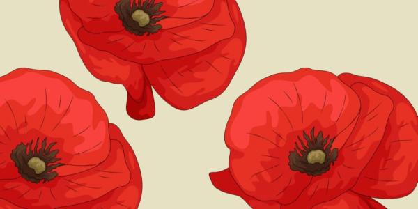 Red illustrated poppies on a beige background
