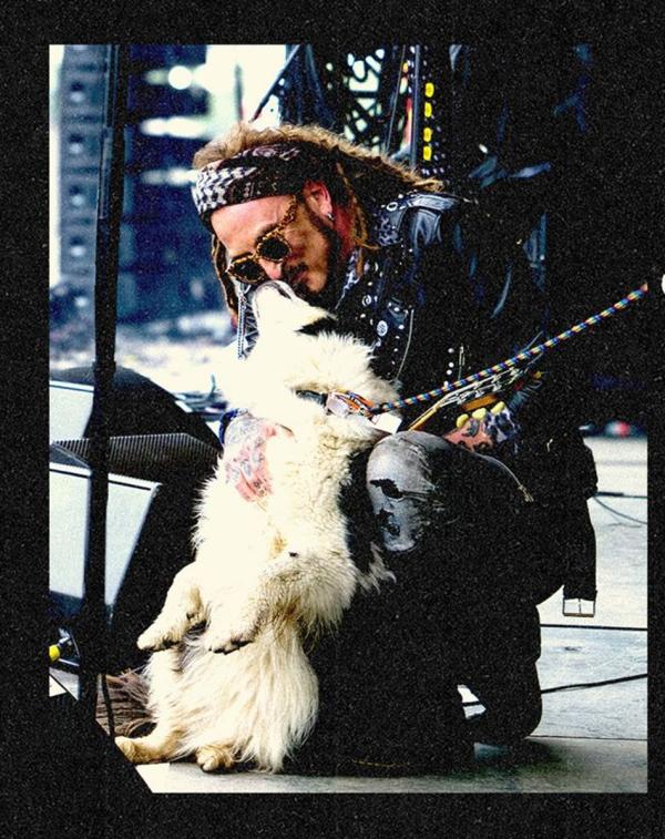The Wildhearts