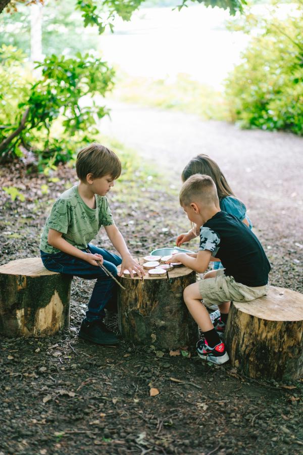Three young children sit on cut tree stumps in a shaded woodland area, gathered around a larger stump being used as a table. They appear focused on a simple activity with small round wooden pieces and a bowl. Sunlight filters through the trees, creating a bright opening along the path behind them and giving the scene a calm, playful outdoor atmosphere.