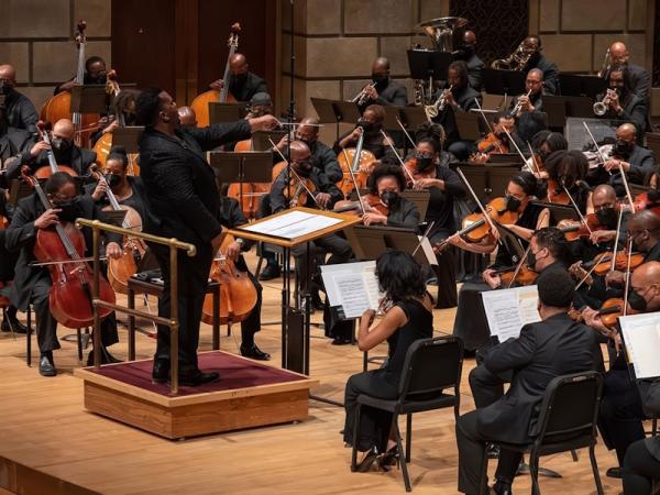 A large orchestra playing on stage, with string, woodwind and brass sections.