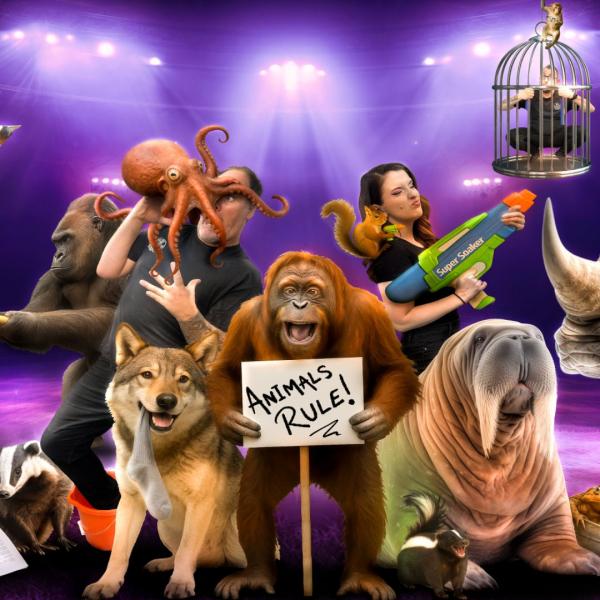 Collage of animals and humans in comic altercations, including an octopus on a man's head, a man stuck in a bird cage, a woman and a squirrel holding water pistols, two men and a gorilla wrestling over a banana, and in the centre, an orangutan holding a sign that reads 'Animals rule!' 