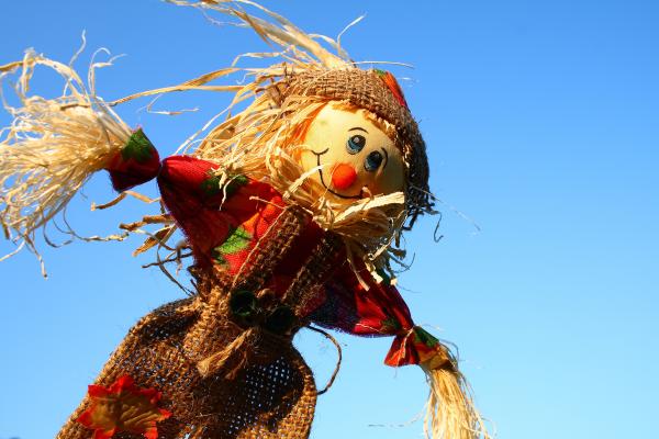 Photograph of a scarecrow against a backdrop of a blue sky