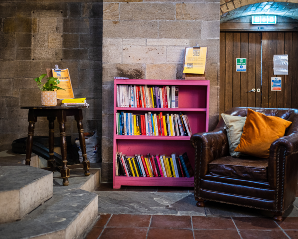 Image of Pink Bookcase & arm chair