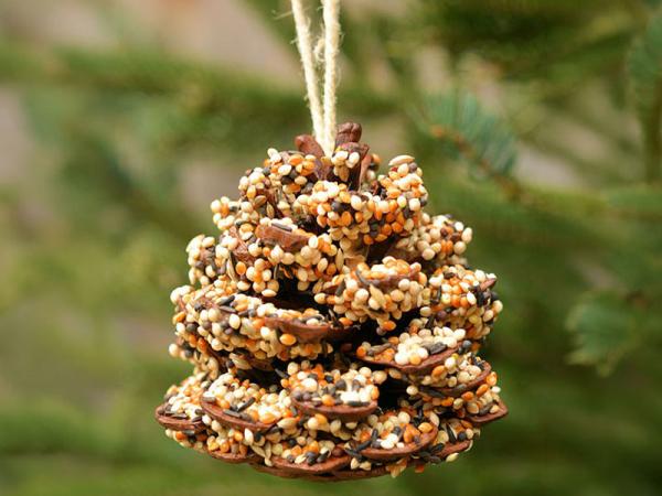 DIY Pine cone bird feeder with seeds on it