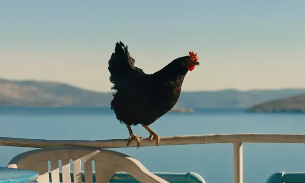 A still from the film "Hen"