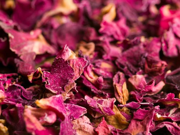 Pile of dried flowers.