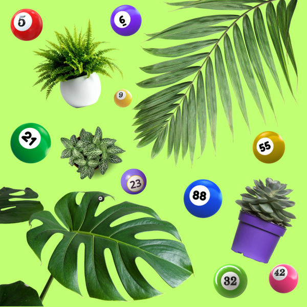 Graphic of plants