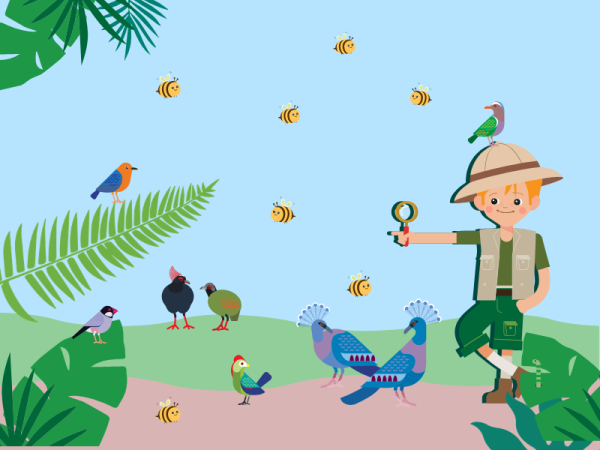 An illustration of birds and bumblebees at Tropical World