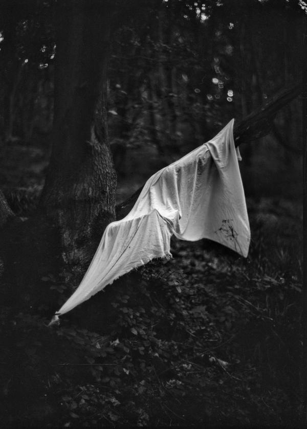 Fabric draped over tree