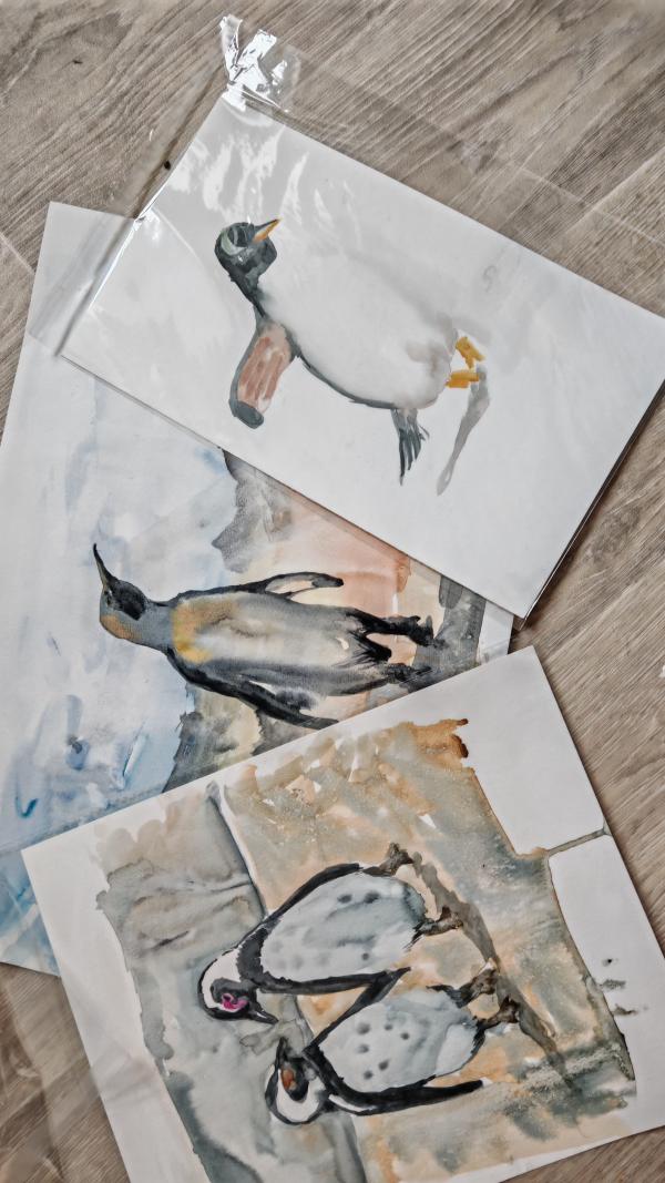A selection of cards with penguin illustrations.