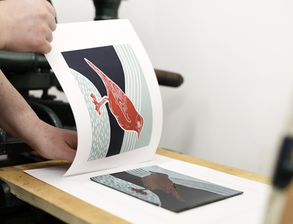 A lino cut image of a bird in red and black being revealed from the lino