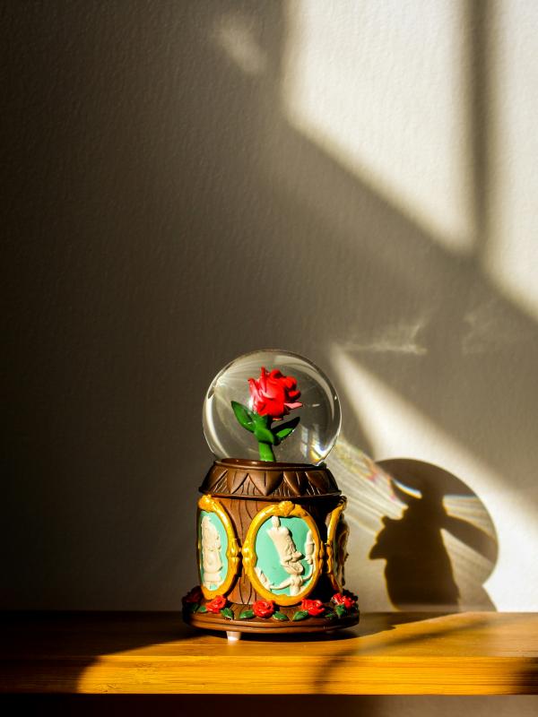 Photo by Sarah Dao on Unsplash