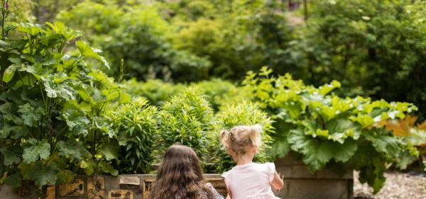 Two young girls playing in a garden with their backs to camera