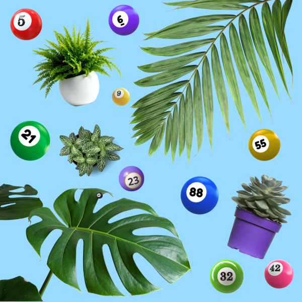 Graphic of Plants