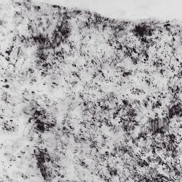 Lucy Crouch, to agitate, 2025.