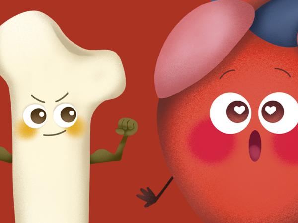 Cartoon bone and heart smiling and looking surprised