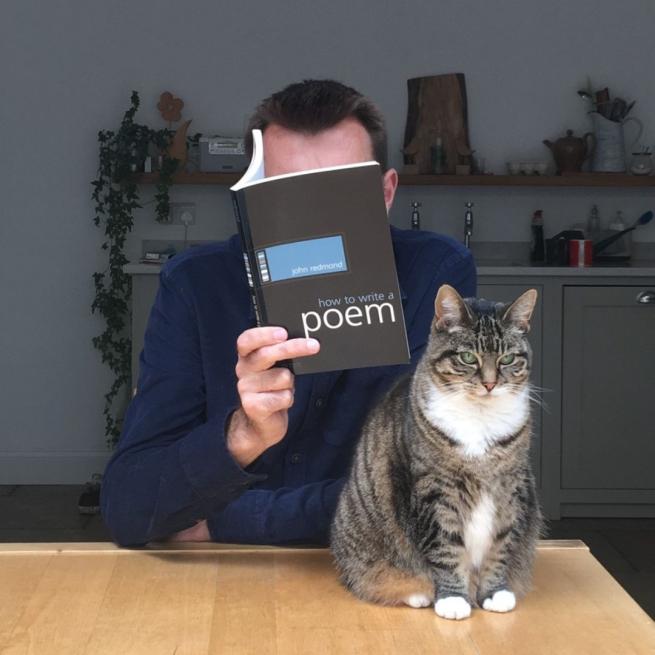 At a kitchen counter beside a tabby cat, Brian Bilston reads a book entitled 'how to write a poem', his face obscured behind its cover.