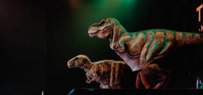 Teach Rex Live