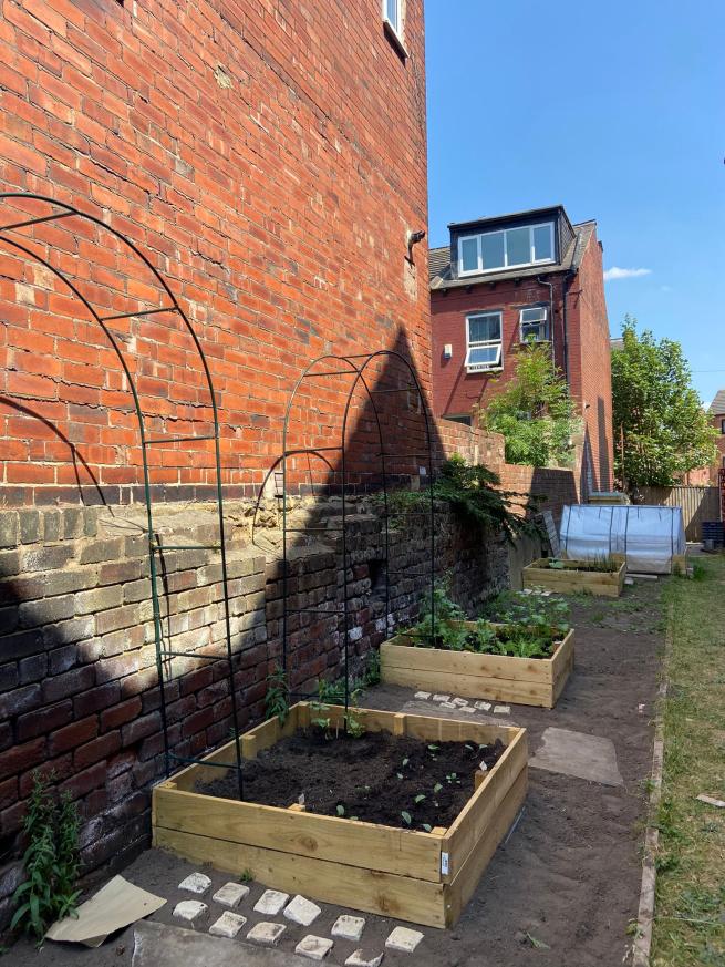 The vegetable garden, image of the raised beds in the sun