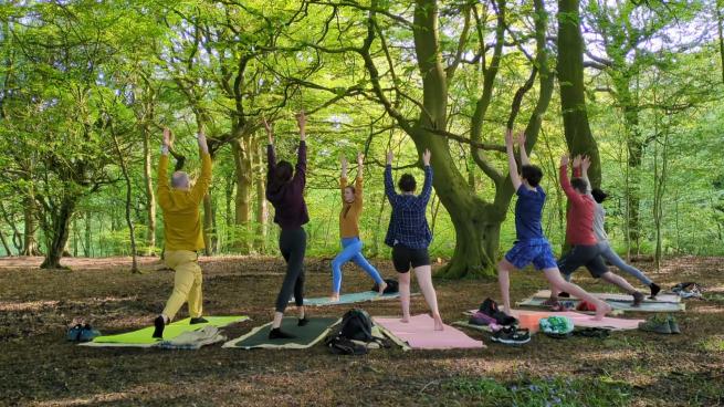A group of adults in colourful clothing performing high lunge during a yoga practice set within a sunny woodland.