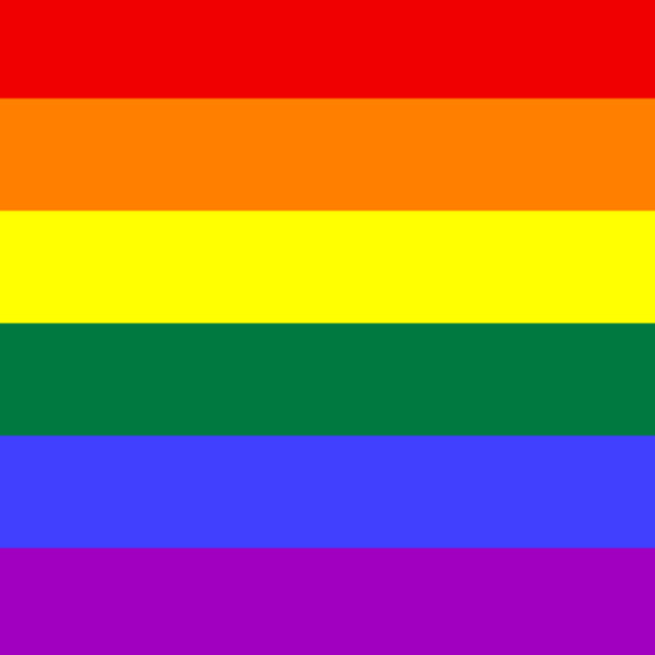 The Pride Flag
