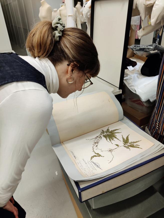 A visitor looking at a sheet of paper with a plant dried and pressed on the page. 