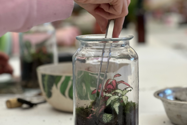  A person carefully uses a spoon to transfer small plants into a glass jar, showcasing a nurturing gardening activity.