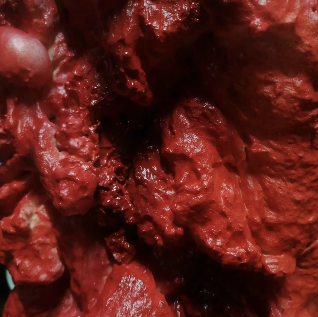 An obscured image of red material resembling bodily interiors.
