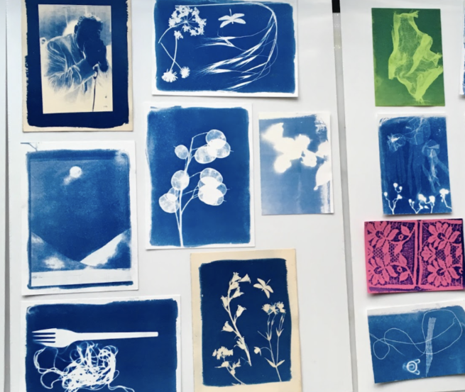 A selection of cyanotypes of various designs