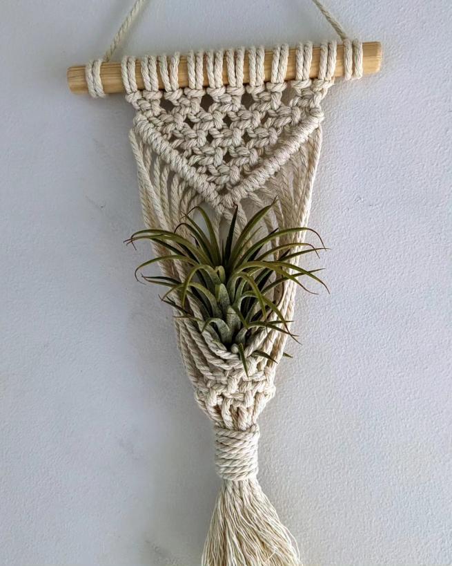 an air plant hanger 