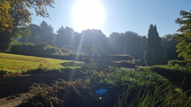 A sunlit picture of a garden in daylight with green trees and bushes,