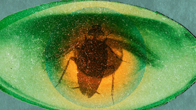 A cockroach inside a shape that resembles an eye