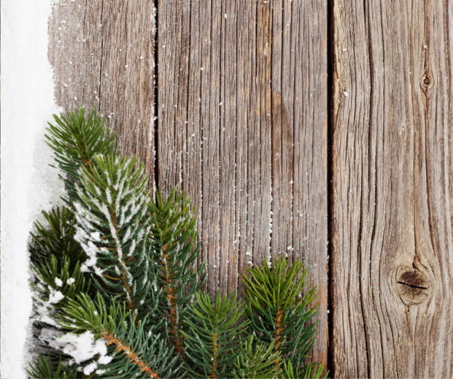 a christmas tree against pallet wood