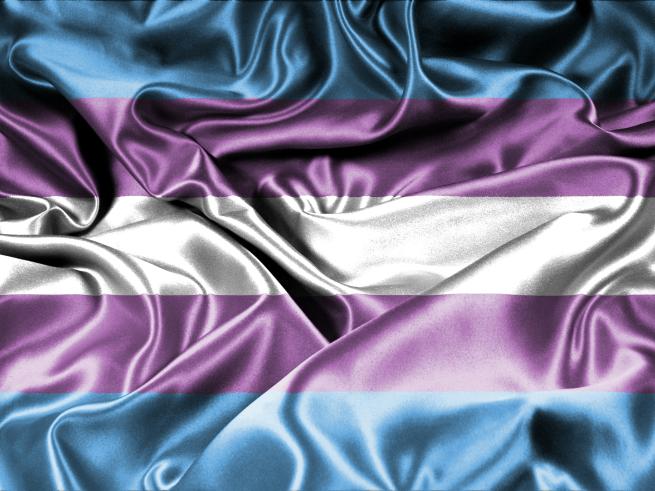 the trans flag