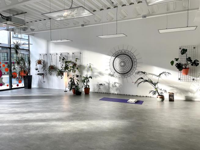 A yoga studio with sunlight streaming in the windows