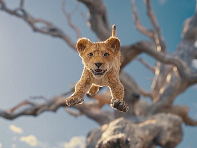 Mufasa jumping from a tree branch